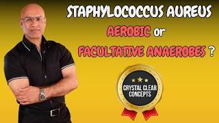 Staphylococcus Aureus  Aerobic or Facultative Anaerobic Bacteria