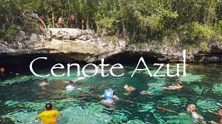 Cenote Azul Riviera Maya Mexico Quintana Roo Playa Del Carmen