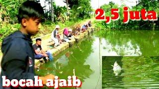 ANAK AJAIB JAGO MANCING KOLAM BORONGAN TIKET 25 JUTA IKAN MAS TAWES BAWAL NILEM   MANCING SERU