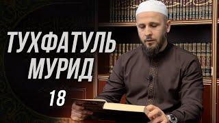 Тухфатуль Мурид 18-й урок تحفة المريد