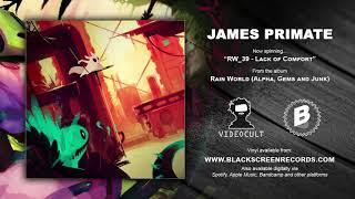 James Primate  RW 39 - Lack of Comfort  Rain World Alphas Gems and Junk