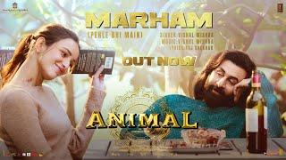 ANIMAL Marham Pehle Bhi Main Song Ranbir KapoorTripti Dimri SandeepVishal MRaj SBhushan K