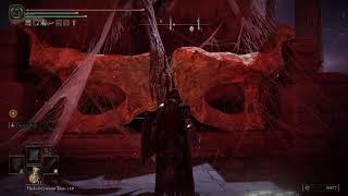 ELDEN RING DLC Shadow of the Erdtree Playthrough  Ps5  FrostyFire10  ️