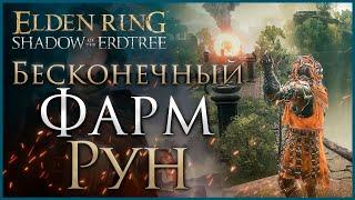 САМЫЙ ЛЕНИВЫЙ ФАРМ РУН в Elden Ring Shadow of the Erdtree  #shadowoftheerdtree  #eldenring