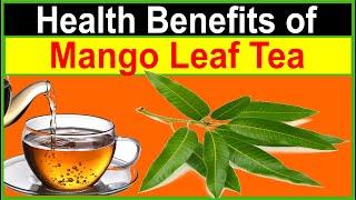 Why You Should Drink Mango Leaf Tea