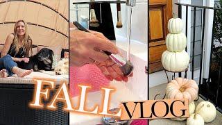 Fall Vlog Brush Cleaning New Sunscreen Fall Decor + Baking