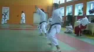 Ryukyu Kobudo Tesshinkan Рюкю кобудо Тэссинкан