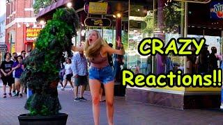 Bushman Prank 2021 Love Laughter & Screams