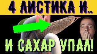 4 ЛИСТИКА В ДЕНЬ СНИЗЯТ САХАР ДО НОРМЫ ЭТО НЕЧТО