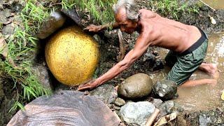 INDONESIAN TREASURE HUNTER FOUND PURE GOLD NUMBERS DIGED MANUALLY
