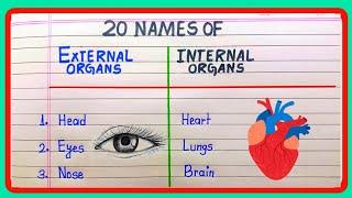 External and internal body Parts nameexternal and internal organs of human body10 external organs