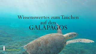 Wissenswertes zum Tauchen auf den Galapagos