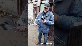 Николаевские голуби Рудьковского А.Н. Стиль полёта.г. Покровск Донецкая область.Тел. 0507540316.