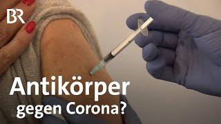 Wie viel Antikörper schützen gegen Covid-19?  Corona  Gut zu wissen  BR