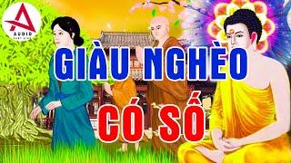 Kể Truyện Đêm Khuya - Giàu Nghèo Có Số Phú Quý Do Trời - Chuyện Nhân Quả Phật Giáo Có Thật Hay Nhất