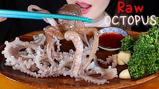 ASMR LIVE OCTOPUS 힘 빠짝빠짝 싱싱한 산낙지  접시도 들어올리겠  아직도 여전히 쌩쌩한 산낙지 ASMR MUKBANG