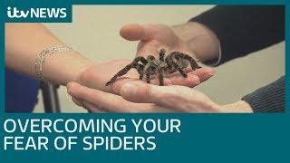 How do you overcome a fear of spiders?  ITV News