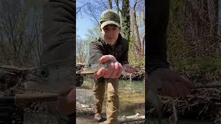 10 SECOND FISHING #fishing #shorts