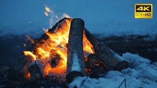  A Crackling Campfire During a Windy Winter Night 10 HOURS 50FPS  Cozy Fireplace 4K for Sleeping