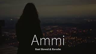 Ammislowed+reverb  Reet