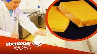 Cheddar Käse im Trend Was macht ihn so besonders?  Abenteuer Leben  Kabel Eins