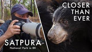 Wildlife Photography in Satpura National Park  TIGER COUNTRY Ep. 3 - New Life Canon R5 8K