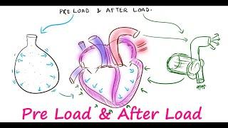 Preload & Afterload