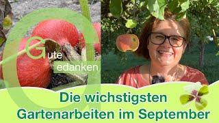 Die wichtigsten Gartenarbeiten im September  GartenVideo