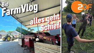 Besuch vom Fernsehen & ich mache nur Mist..  Roden & einlagern - Dinkel drillen & mehr  Vlog 123