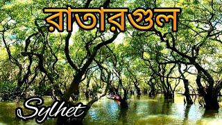 Ratargul swamp forest  সিলেট রাতারগুল ভ্রমণ।