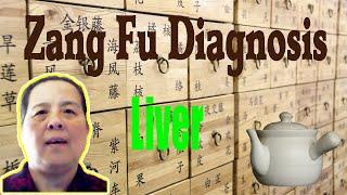 TCM Diagnosis  Zang Fu Pattern Liver