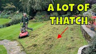 99.999% Of Lawns Are Like THIS  Heres How To FIX IT.
