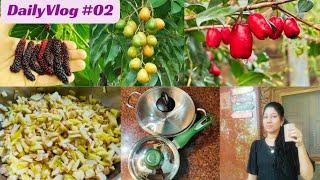 Daily vlog #02 Terrace Garden Rare Exotic Fruit Plants Indus Valey Cookware Making Mango Pickle