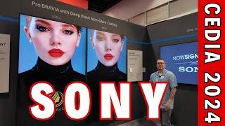 Sony @ Cedia  2024 - New BRAVIA Projectors & AMAZING LED WALLS