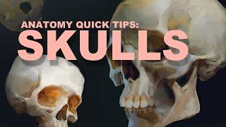 Anatomy Quick Tips Skulls
