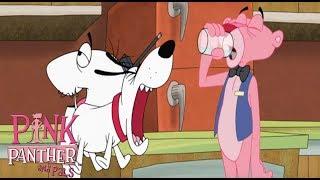 Pink Panther Is Hard To Find  35 Minute Compilation  Pink Panther & Pals