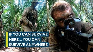 Welcome to the jungle The British Armys brutal Belize jungle training