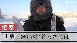 【世界一寒い村】ロシア・サハ共和国オイミャコン村　釣った魚は数分で…