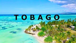 TOBAGO TRAVEL GUIDE Trinidad & Tobago - ALL top sights in 4K + Drone
