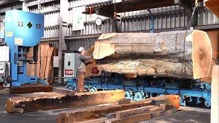 How lumber is made in Sawmill Factory   Fastest Automatic Wood Sawmill Machine Modern Technology