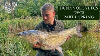 Grasscarp & Carp Fishing in Duna-Völgyi-Főcsatorna “DVCS” Part 1 Spring