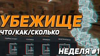 УБЕЖИЩЕ В STALCRAFT X КАК КАЧАТЬ ДО 5 ЛВЛСТОИМОСТЬКРАФТЫ