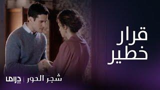 مسلسل شجر الحور الحلقة 87  أسمينا توافق على خطة ميرسيني وتثير غضب نيكوفورس