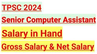 TPSC Senior Computer Assistant Salary in Hand  Gross Salary & Net Salary 2024  TPSC 2024 