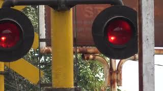 Single ALARM CILEBUT di Perlintasan Kereta Api KRL Palang Pintu Railroads Crossings Bogor Indonesia