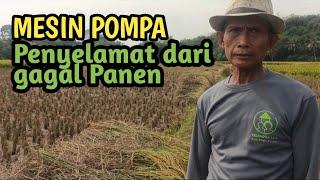 Mesin Pompa penghindar gagal panen