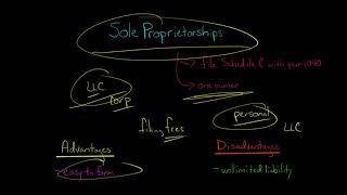 Sole Proprietorships  Advantages and Disadvantages