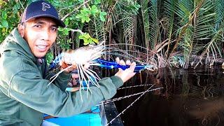 Beruntungnya saya mancing hari ini dapat babon udang galah besar-besar.