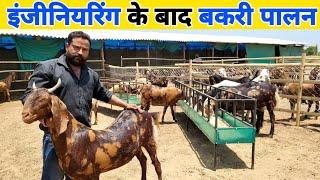 दो इंजीनियर भाइयों ने शुरू किया बकरी पालन  Bakra farming in india