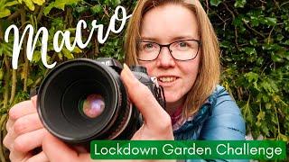 Macro Photography  Lockdown Garden Photo Challenge